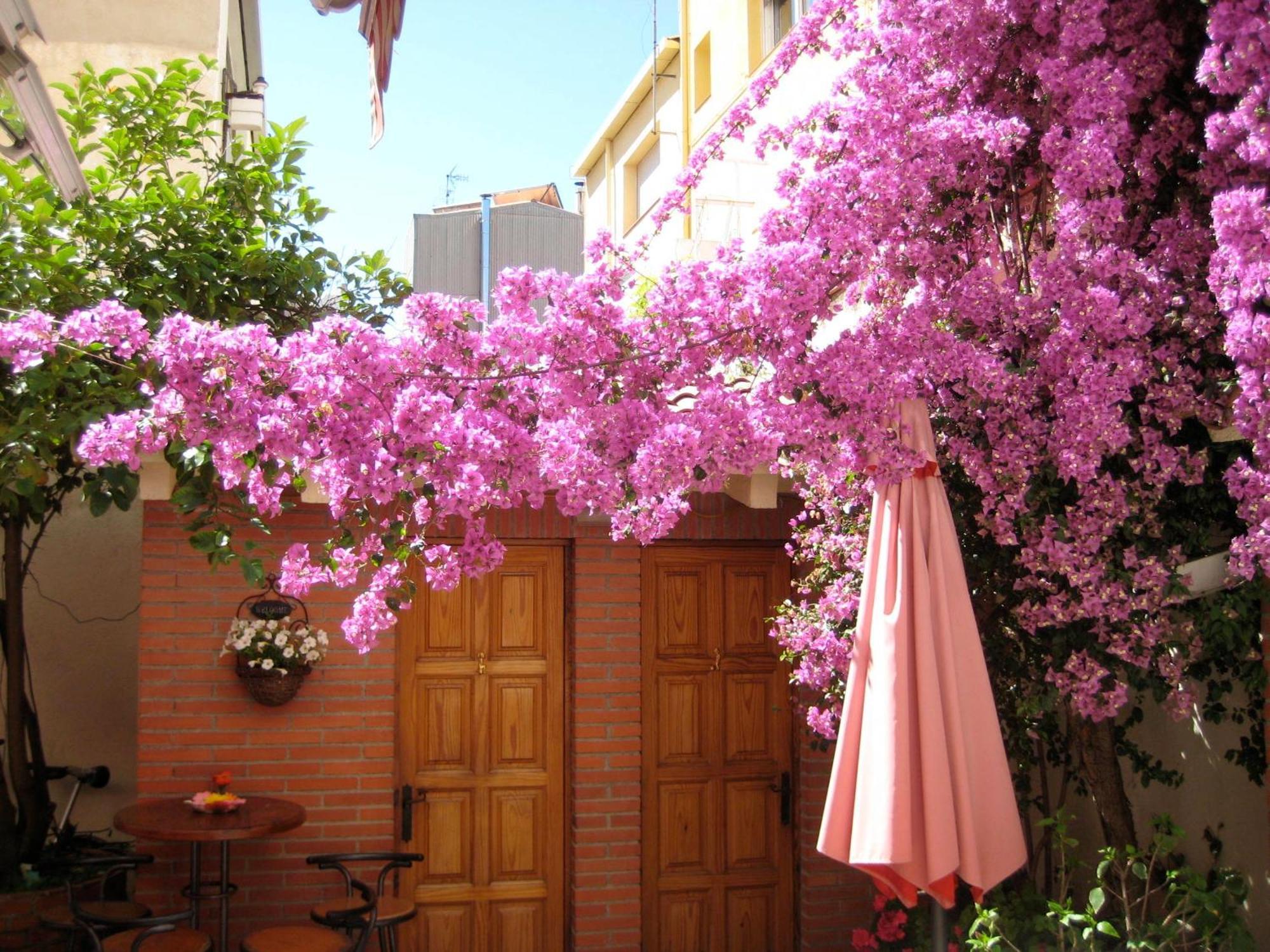 Pension Casa Austria Calella Eksteriør bilde